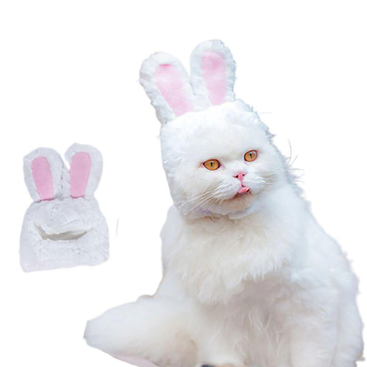 طاقية للقطط على شكل أرنب Rabbit shaped cat hat - Dupamine Store - 1.000